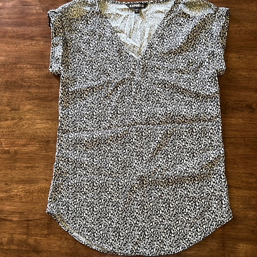 Express v-neck blouse